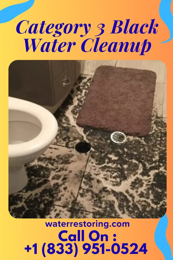 Category 3 Black Water Cleanup in Canton, KS