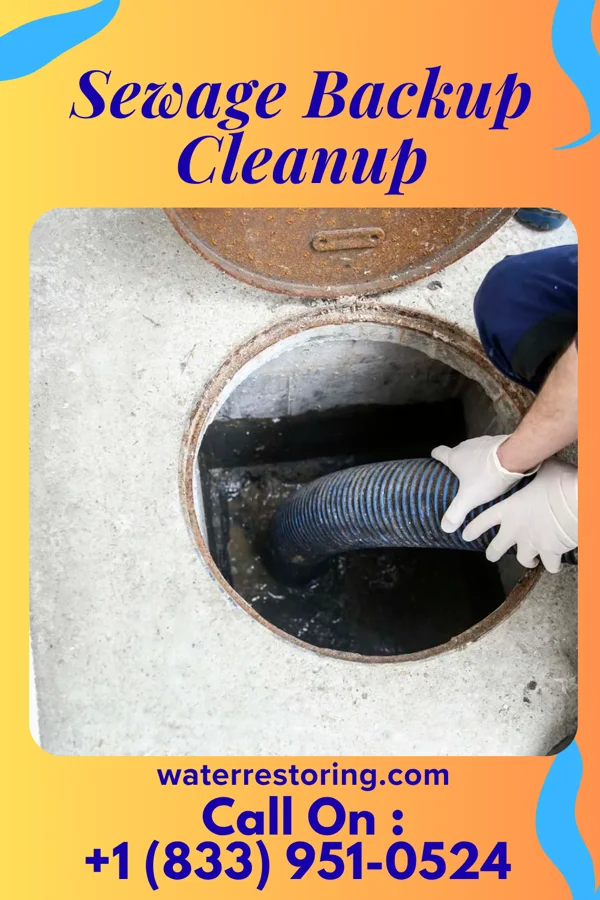 Sewage Backup Cleanup in Canton, KS