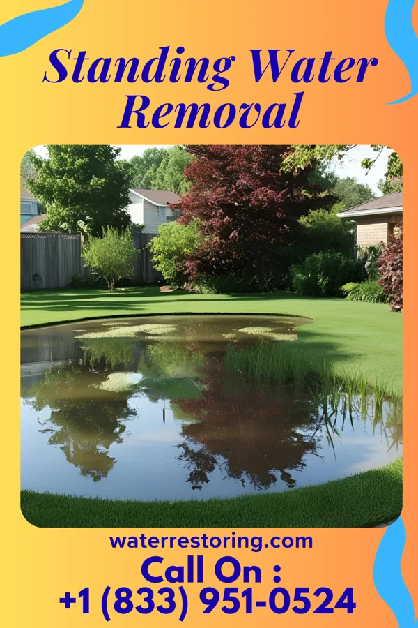 Standing Water Removal in Canton, KS